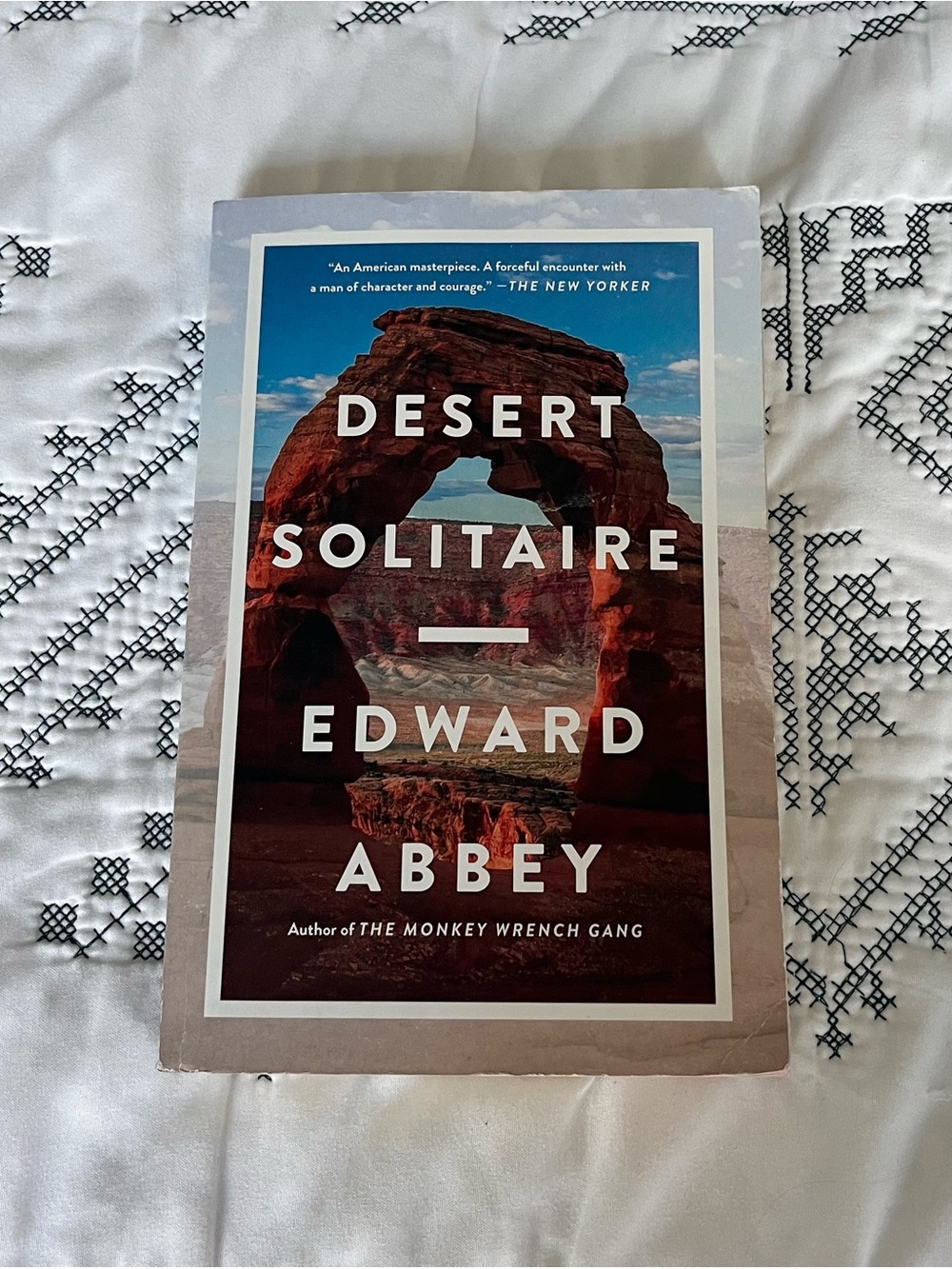 Desert Solitaire by Edward Abbey - Blue & Brown Cover Paperback